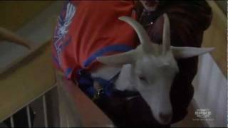 Blue Mountain State - Sammy kills the goat