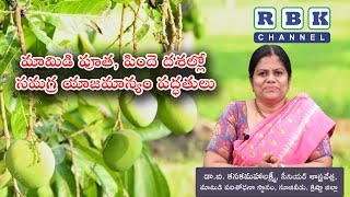 మామిడి పూత, పిందె దశల్లో సమగ్ర యాజమాన్యం పద్ధతులు ll డా.బి. కనకమహాలక్ష్మీ, సీనియర్ శాస్త్రవేత్త