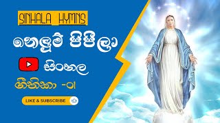 sinhala geethika| Nelum Pipeela| නෙලුම් පිපීලා| සිංහල ගීතිකා Samidunta Pasasumwewa