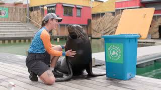 Partner Spotlight | Sea World Marine Park