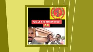 የጁንታው ቀብር እና ሌሎችም የቲክቶክ ቪዲዮ|ethiopian daily tik tok  #abexim