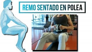 Remo Sentado con Polea - Técnica Correcta y Músculos Involucrados