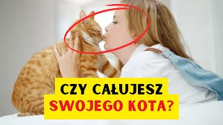 CZY CAŁUJESZ SWOJEGO KOTA JAK KOTY ODBIERAJĄ POCAŁUNKI