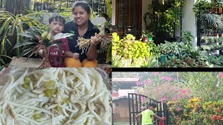 Evening vlogs||plants propagating, reporting, cleaning|| making chicken soup Chow||tiewvlogs