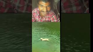 💫അണ്ണൻറെ സ്വന്തം പട്ടി 💫#fishing #dogs @fishingfreaks @kidstvsongs