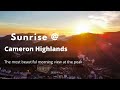 Beautiful Sunrise at Cameron Highlands Malaysia #short