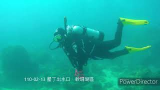 游龍潛水✴110-02-13 小編\u0026教練於墾丁出水口\u0026軟珊瑚區潛行紀錄剪輯分享