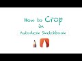 How to Crop in Autodesk Sketchbook