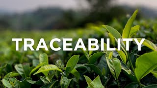 Supporting technology-driven traceability in the Indian tea industry