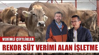 Holstein Mı Montofon Mu? Hangi İnek Irkı Daha Verimli? | Verimli Çiftlikler