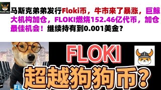 马斯克弟弟发行Floki币，牛市来了暴涨，巨鲸大机构加仓，FLOKI燃烧152.46亿代币，加仓最佳机会！继续持有到0.001美金？Floki币|马斯克弟弟发行币|Floki币行情分析！