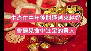 【生肖運勢】四生肖在中年後財運越來越好，會遇見命中注定的貴人｜佛道禪心