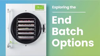 End Batch Options