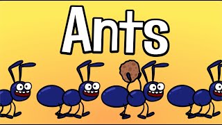 Ants Song  - Funny kids song - Family song | Hooray Kids Songs & Nursery Rhymes