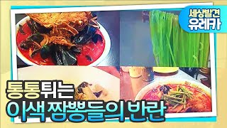 [세상발견 유레카] 맛있게 즐기자 이색 짬뽕열전 2015.12.28(월)