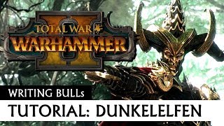 Tutorial Dunkelelfen: Total War Warhammer 2 [deutsch]