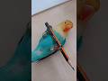 Sweete maliar😱😚🤑 #diy #pen #parrot