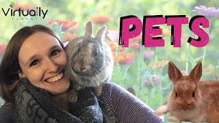 Pets (Care for Animals - Elementary English)