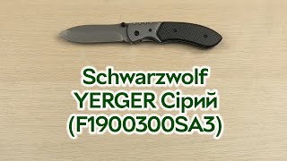 Розпаковка Schwarzwolf YERGER Сірий (F1900300SA3)