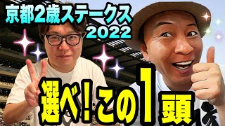 【京都2歳ステークス2022】１頭ならこの馬だ！！