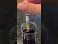 how to use a hydrometer winemaking homebrew fermentation foodscience hydrometer