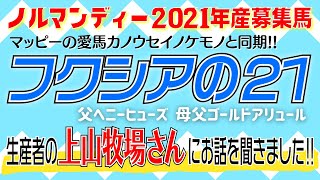 【一口馬主】生産牧場さんにフクシアの21のお話を聞きました‼️ノルマンディー2021年産募集馬【上山牧場】