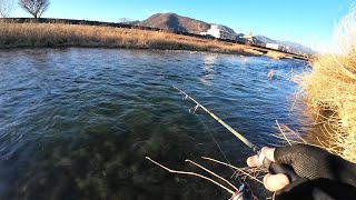 でるか甲斐サーモン！笛吹川冬季釣り場に挑む