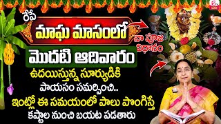 ramaa raavi - మొదటి మాఘ మాసం ఆదివారం | తెలుగులో మాఘ ఆదివారం ప్రాముఖ్యత | SumanTv లైఫ్