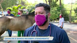 Carroceiros ganham ação para vacinar cavalos em veterinária