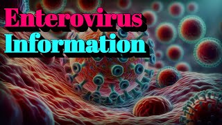 Enterovirus Information (🔬Tier.4 Infectious Disease)