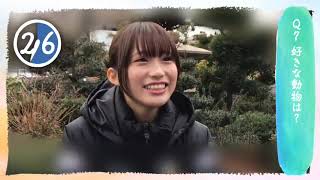 ドラマの質問に答えるおかけちゃん　掛橋沙耶香　乃木坂46