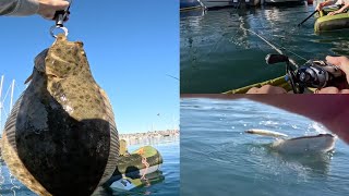 Float Tube Fishing San Diego Bay with Live Smelt | Consistent Winter Halibut Bite