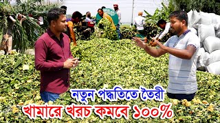 সাইলেজ বানানোর আধুনিক পদ্ধতি ও সঠিক নিয়ম | খামারের খরচ কমাতে গরু ও ছাগলকে সাইলেজ খাওয়ান #সাইলেজ