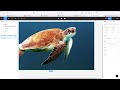 Урок в figma. Создаем крутой эффект с черепахой