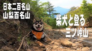 日本二百名山、山梨百名山　柴犬と登る三ツ峠山