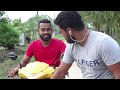 pedilla _පැදිල්ල සේruවා