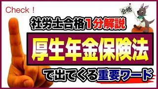 【社労士合格１分解説】厚生年金保険法