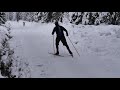 langlauf im schwarzwald kaltenbronn