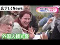 広島の桜・平和公園は7分咲き