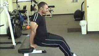 Tricep Dips