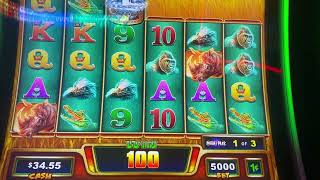 Raging Rhino  Rampage Slot Machine - Buying $ 50.00 Dollarinos Bonus Feature  🤮