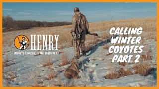 CALLING COYOTES DURING BREEDING SEASON USING HENRY LONG RANGER 243 AND 223 #HUNTWITHAHENRY