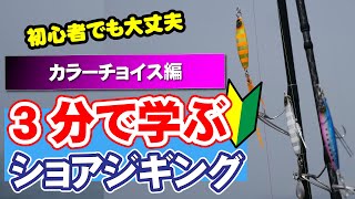 3分で学ぶショアジギング　カラーチョイス編