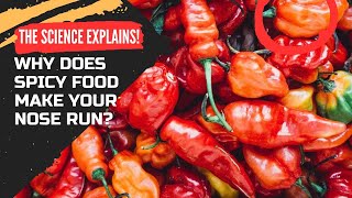 Why Does Spicy Food Make Your Nose Run? The Science Explains!