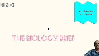 UNDERSTAND INFLORESCENCE IN JUST 10 MINUTES!!! @sureshb9256  #biology #morphologyoffloweringplants