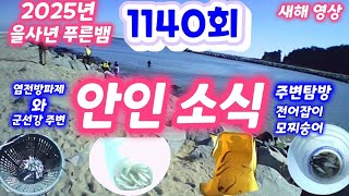 1140회 안인소식 주변탐방 이곳저곳 관찰 [새해 영상] 전어투망 전어잡이 훌치기 막치기 카드낚시 원투낚시 찌낚시 숭어투망