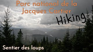 HIKING sentier des loups  -Parc national de la Jacques Cartier-