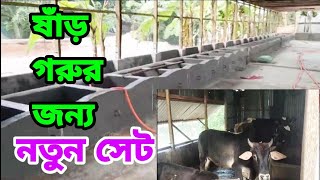 কম খরচে গরুর শেড তৈরি। ৩০ টি গরু পালন করার শেড