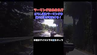 バイク乗りならわかる！？道志みちをツーリングしていると謎の渋滞が発生する！ #shorts #バイク #オートバイ #大型バイク #ツーリング #道志みち #渋滞 #事故