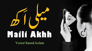 Punjabi Poetry Maili Akhh By Saeed Aslam | Punjabi Shayari Whatsapp Status 2020